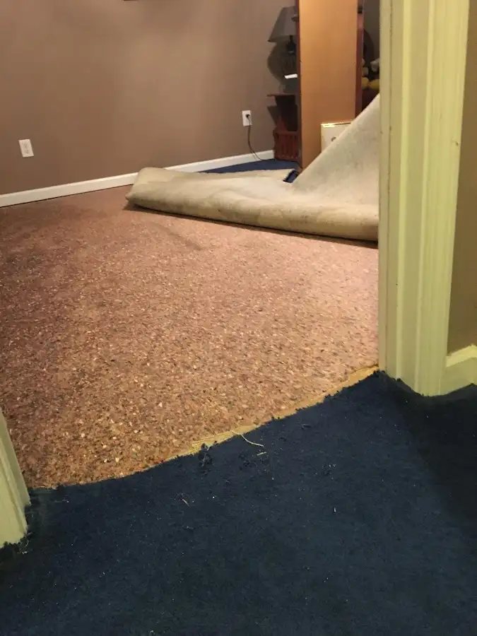 Carpet pad removal revealing water damage during Drying & Dehumidification in Trinity