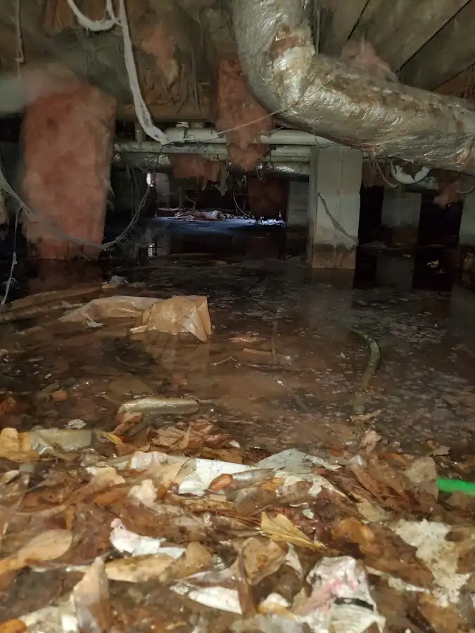 Crawl space flood assessment for Commercial Water Damage Restoration in Trinity