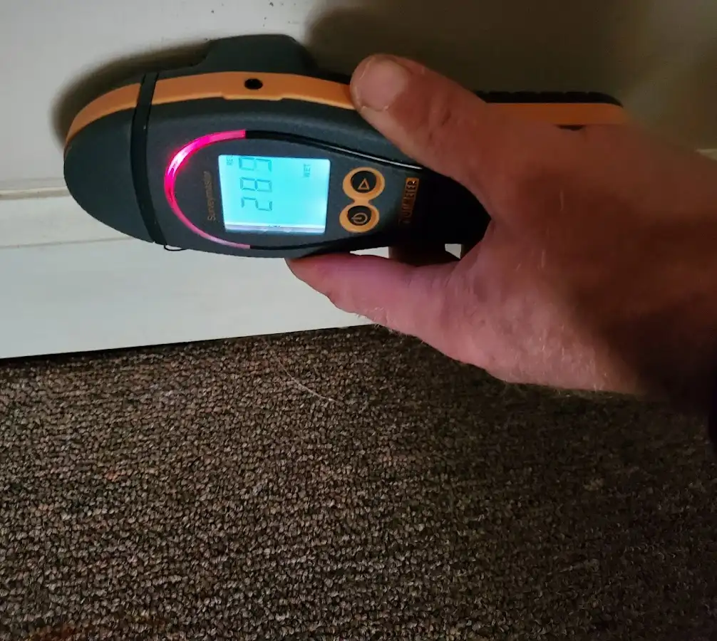 Moisture detection at baseboard during Sewage Cleanup & Sanitation in Trinity